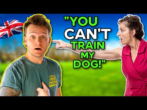 Understanding the Legal Framework Surrounding Aggressive Dogs in the UK