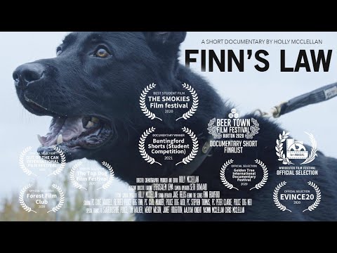 Understanding Finn's Law: A Comprehensive Explanation