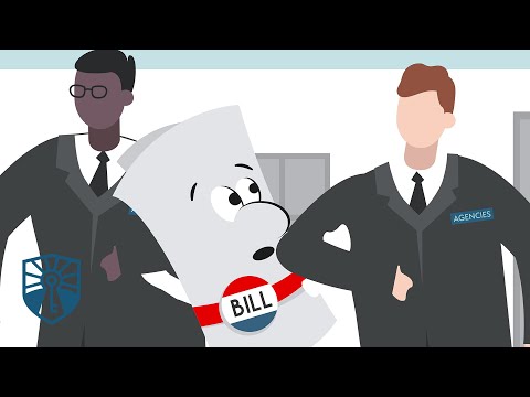 Understanding the Process of Enacting Laws: from Proposal to Enactment