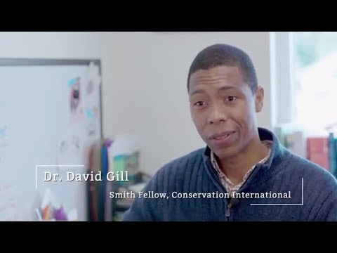 Understanding the Stringent Environmental Regulations of Various Countries