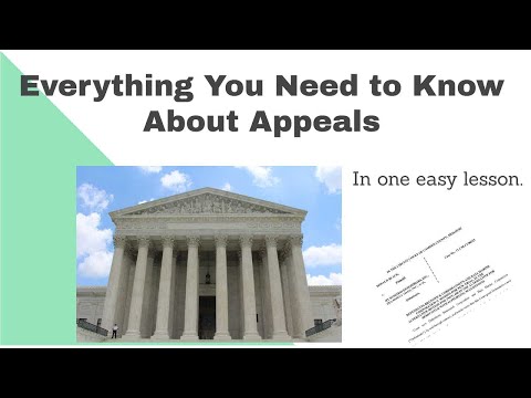 Understanding the Success of Court Appeals: A Comprehensive Analysis