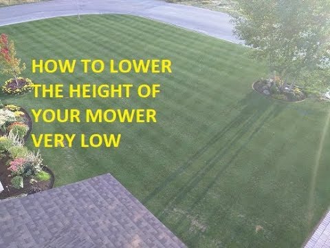 Understanding Lawn Mower Cutting Heights: How Low Can They Go?