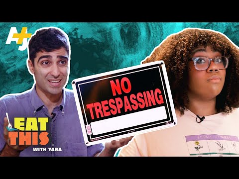Understanding the Kansas City Trespassing Law: A Comprehensive Guide