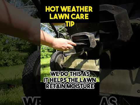 The Art and Science Behind Lawn Scalping: Exploring the Benefits and Techniques