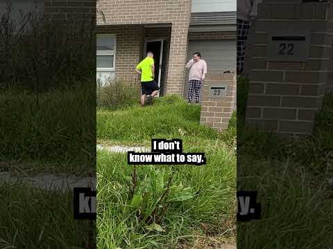 The Best Time to Mow the Lawn: Debunking the Myth of 7pm