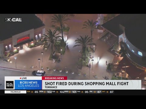 Understanding the Torrance Conservation Ordinance: A Comprehensive Overview