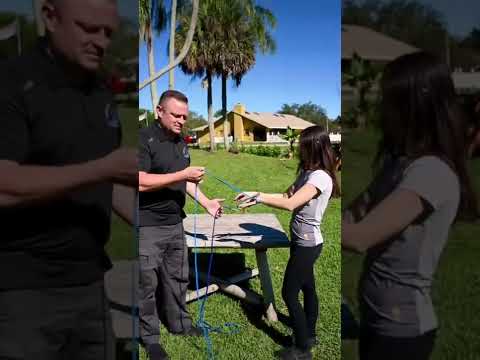 Understanding the Legal Framework for Dogs Off-Lead: A Comprehensive Guide