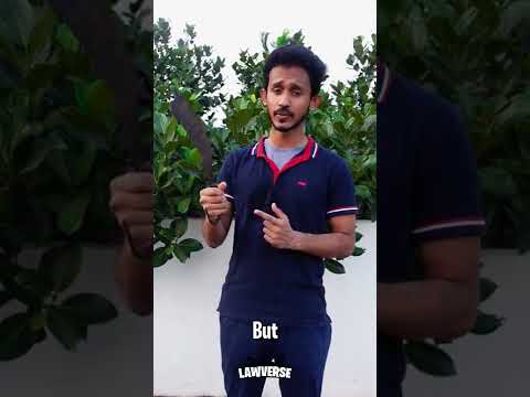 Understanding California's Nuisance Neighbor Law: A Comprehensive Guide