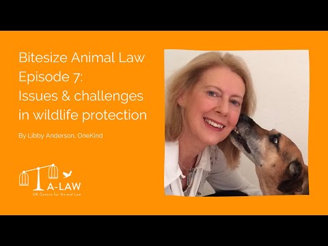 Understanding the Legal Protection of Two Animals in the UK