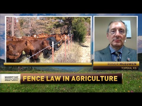 Understanding the British Fence Law: A Comprehensive Guide to Property Boundaries and Regulations