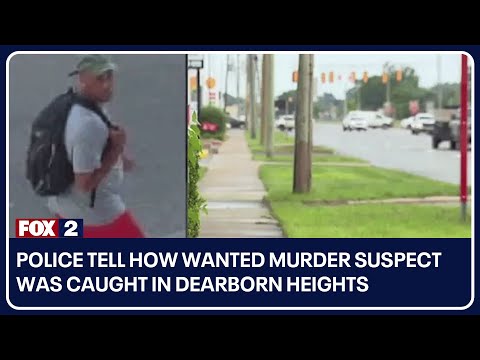 Understanding the Grass Ordinance in Dearborn Heights: A Comprehensive Guide