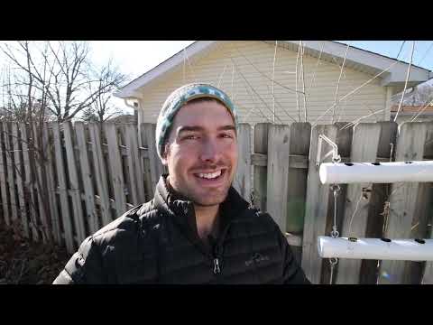 Understanding Your Rights When a Neighbor's Tree Overhangs Your Garden