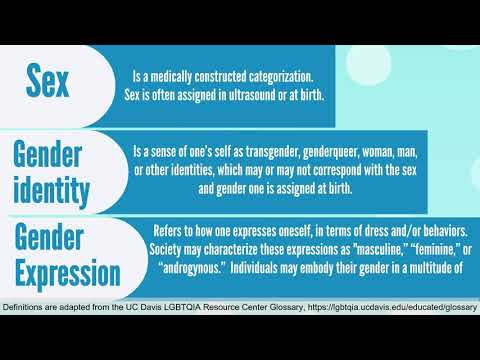 Understanding Gender Inclusive Workplace Policies: A Comprehensive Guide