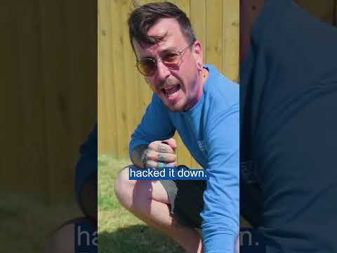 Understanding the Legal Restrictions for Lawn Mowing Times in the UK