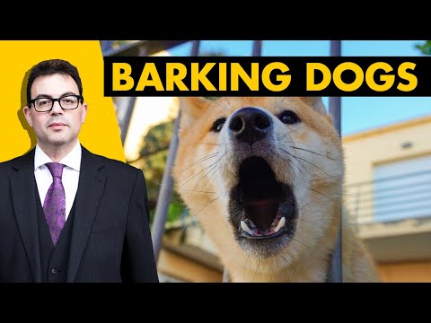 Understanding the Legal Framework for Dog Barking in Scotland