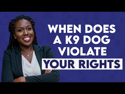 Is It Illegal to Have a Dog Loose in the Car? Understanding the Legal Implications