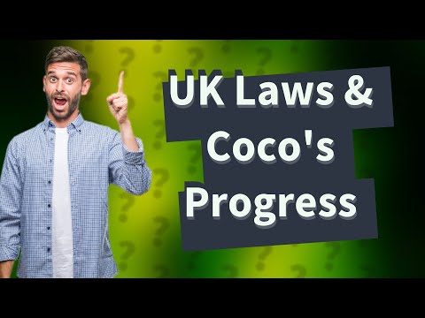 Understanding the New Dog Law in the UK 2023: A Comprehensive Guide