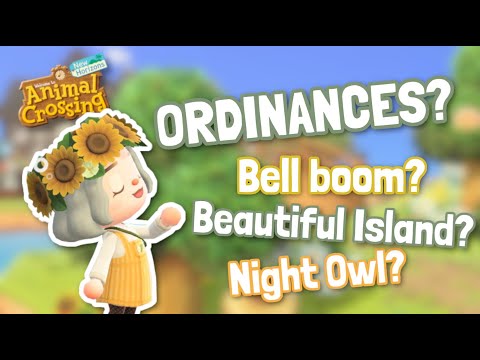 Understanding the Early Bird Ordinance: An Informative Guide