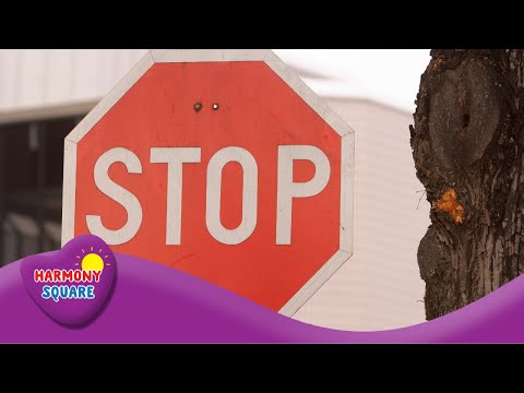 Understanding the Role and Function of Local Ordinances in Your Community