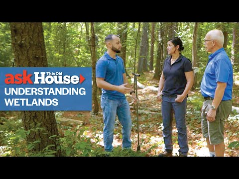 Understanding the New Jersey Wetlands Protection Act: A Comprehensive Guide