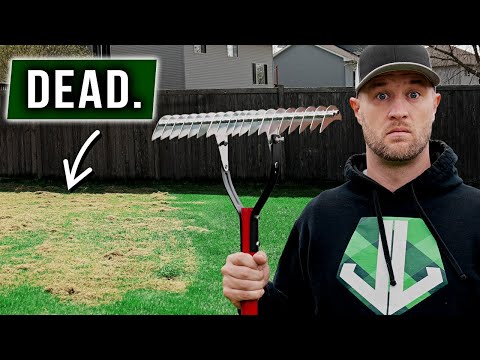 Is it Legal to Park on Your Lawn in Texas? A Comprehensive Guide