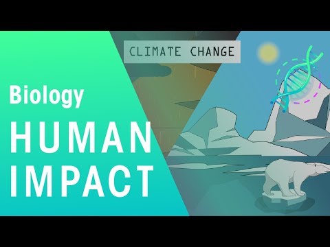 Understanding the Environmental Impact: 10 Ways Humans Affect the Ecosystem