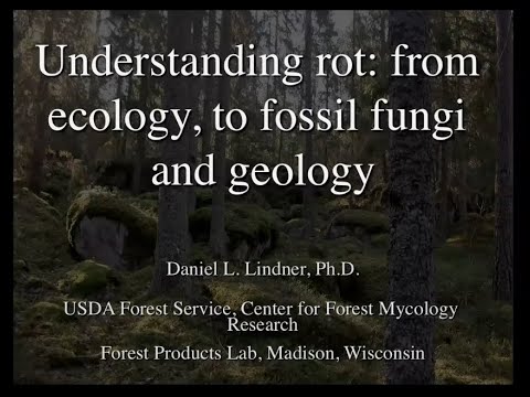 Understanding Limited Coverage for Fungi, Wet or Dry Rot, and Bacteria