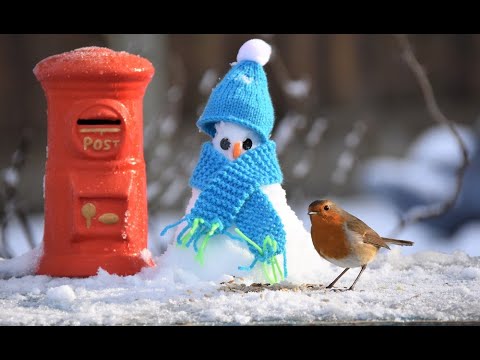 Understanding Schedule 8 of the Wildlife and Countryside Act: A Comprehensive Overview