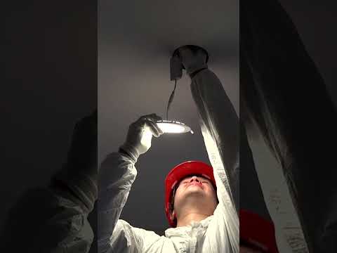 Understanding Local Law: A Comprehensive Guide