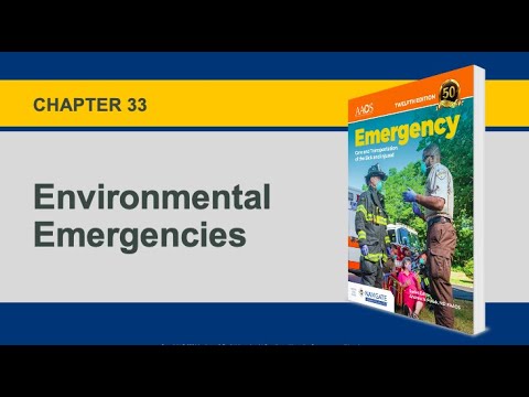 Understanding Section 33 of the Environmental Act: A Comprehensive Explanation