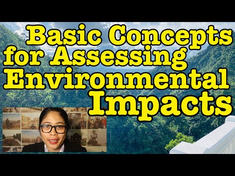 Understanding the Purpose of Environmental Impact Assessment in Assessing Environmental Impacts