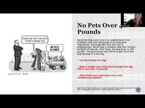 Understanding Bylaw Enforcement: The Key Players in Taking Action