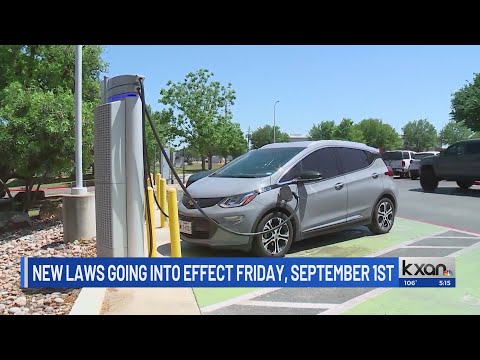 Unveiling the Quirky Legalities: Dive into the Humorous Laws of Texas