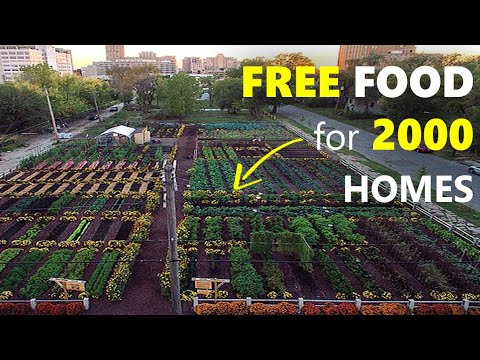 Understanding the Urban Agriculture Ordinance in Detroit: A Comprehensive Guide