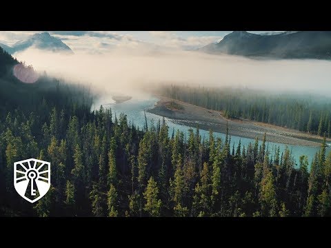 Understanding the Purpose and Impact of the Water Act 2014