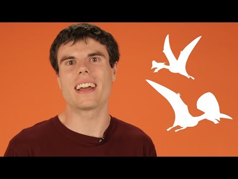 The Distinction: Pterodactyl vs. Dinosaur Explained