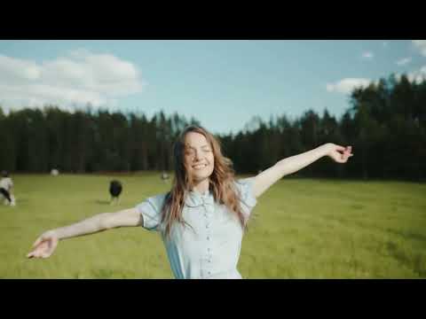 Understanding the Legal Landscape: Laws and Regulations for Businesses