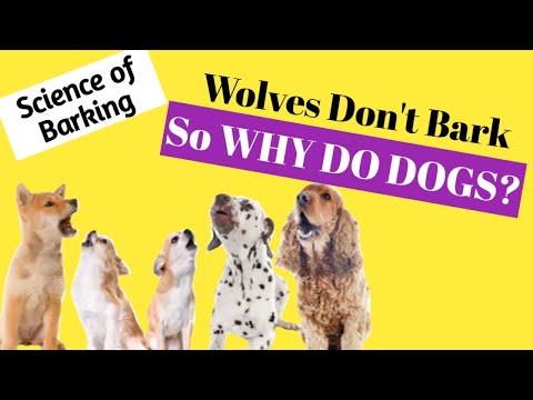 Understanding the Dog Barking Ordinance in Jefferson County Missouri