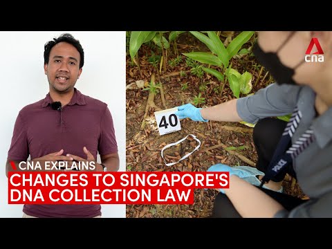 Understanding the Stringency of Singapore Law: A Comprehensive Analysis