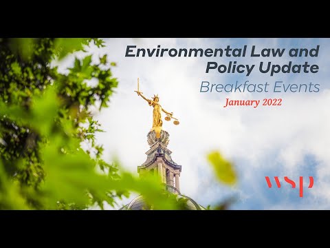 Understanding Environmental Regulation in the UK: A Comprehensive Guide
