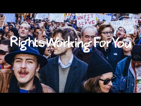 Understanding Local Laws: What They Include and Why They Matter