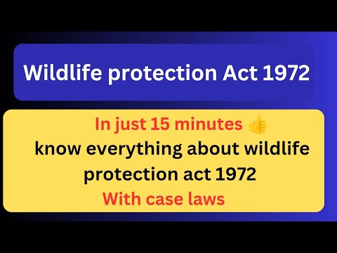 Understanding the Exceptions to the Wildlife and Countryside Act 1981: A Comprehensive Guide