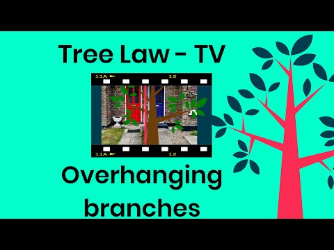 Understanding the Law Regarding Overhanging Branches: A Comprehensive Guide