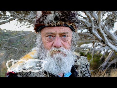 Understanding the Legality of Shooting Feral Cats in the UK