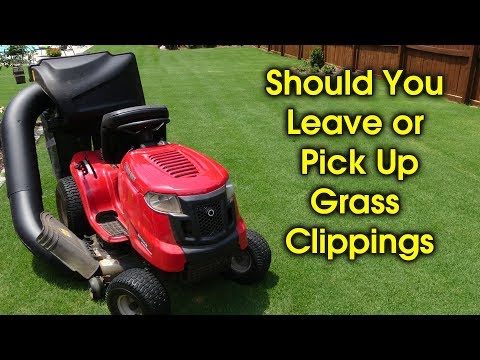 The Pros and Cons of Leaving Grass Clippings on Your Lawn