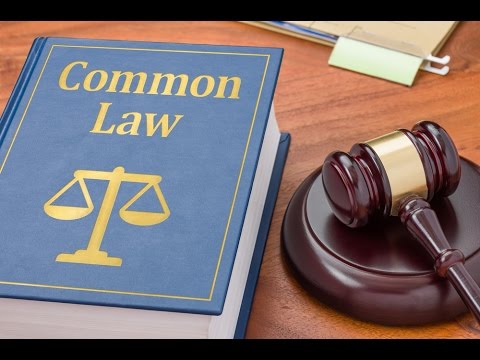 Understanding the Relationship Between Statute Law and Common Law in the UK