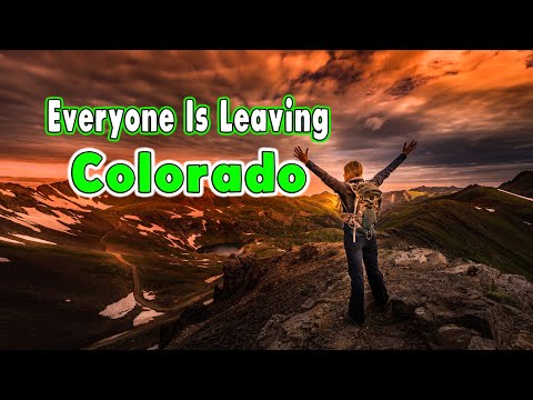 Understanding the Legality of Leaving Your Dog Outside in Colorado