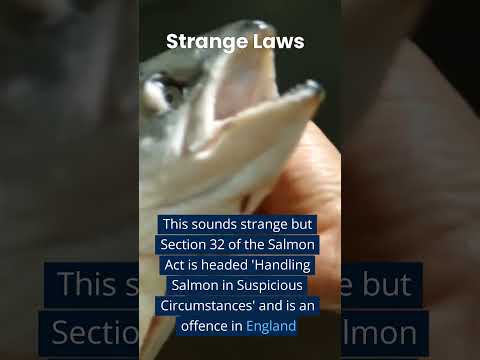 Understanding the Legalities of Holding a Fish Suspiciously in the UK