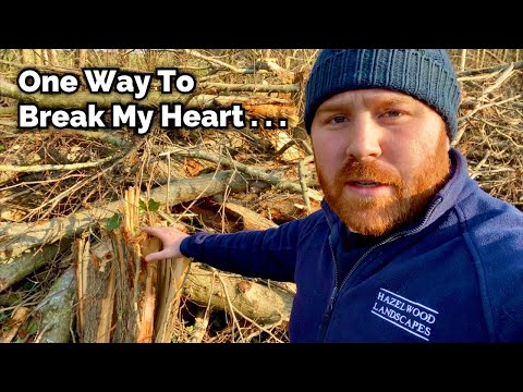 Understanding Schedule 9 of the Wildlife and Countryside Act: A Comprehensive Guide