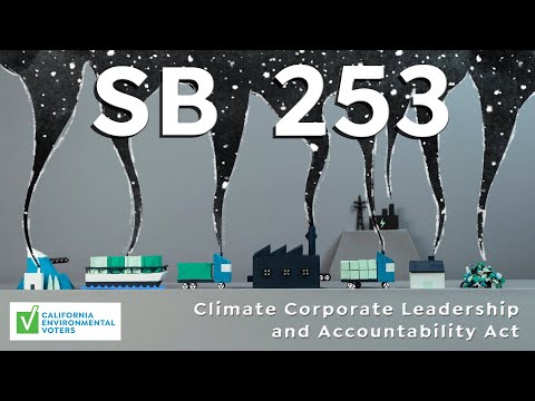 Understanding Section 253 of the Companies Ordinance: A Comprehensive Explanation